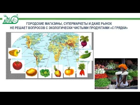 ГОРОДСКИЕ МАГАЗИНЫ, СУПЕРМАРКЕТЫ И ДАЖЕ РЫНОК НЕ РЕШАЕТ ВОПРОСОВ С ЭКОЛОГИЧЕСКИ ЧИСТЫМИ ПРОДУКТАМИ «С ГРЯДКИ»