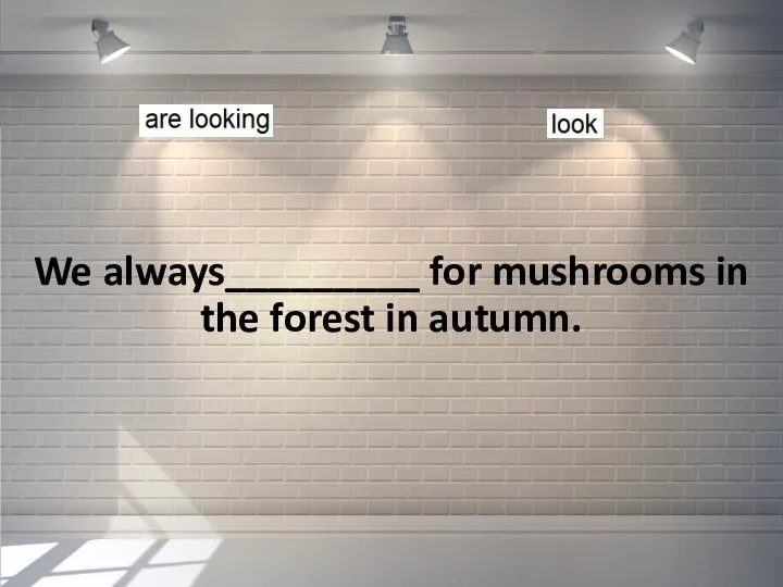 We always_________ for mushrooms in the forest in autumn.