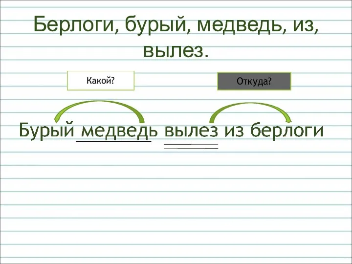 Берлоги, бурый, медведь, из, вылез. Откуда?