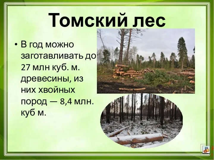 В год можно заготавливать до 27 млн куб. м. древесины, из них