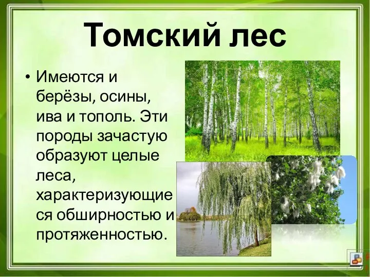 Имеются и берёзы, осины, ива и тополь. Эти породы зачастую образуют целые