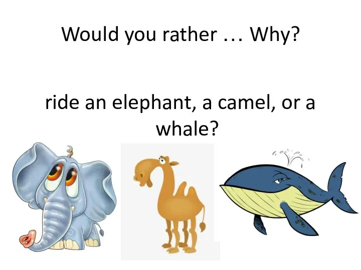 Would you rather … Why? ride an elephant, a camel, or a whale?