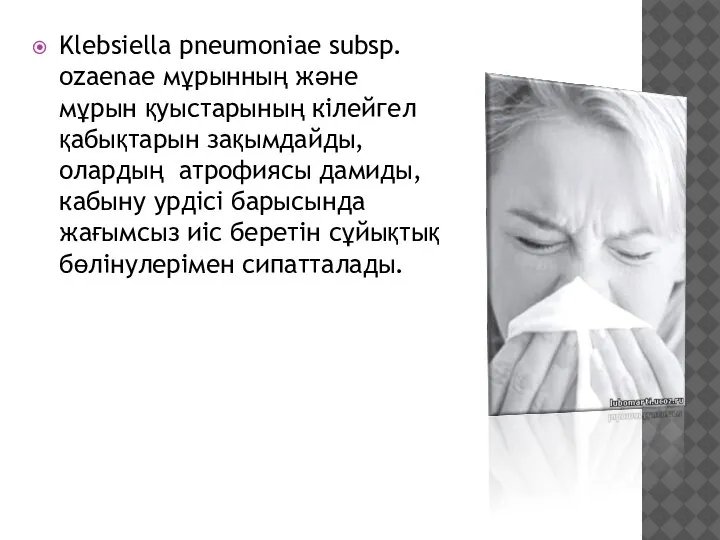 Klebsiella pneumoniae subsp. ozaenae мұрынның және мұрын қуыстарының кілейгел қабықтарын зақымдайды, олардың