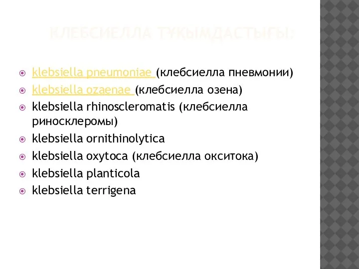 КЛЕБСИЕЛЛА ТҰҚЫМДАСТЫҒЫ: klebsiella pneumoniae (клебсиелла пневмонии) klebsiella ozaenae (клебсиелла озена) klebsiella rhinoscleromatis