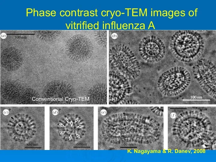 Phase contrast cryo-TEM images of vitrified influenza A K. Nagayama & R. Danev, 2008 Conventional Cryo-TEM