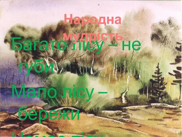 Багато лісу – не губи Мало лісу – бережи Немає лісу – посади Народна мудрість