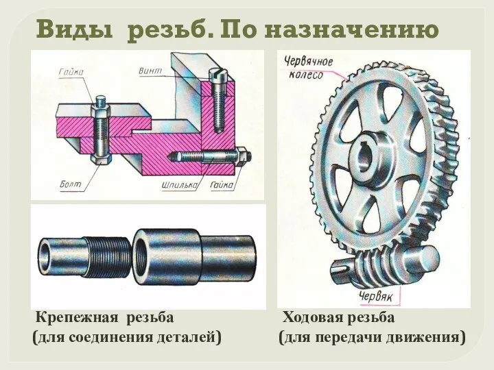 Виды резьб. По назначению Крепежная резьба (для соединения деталей) Ходовая резьба (для передачи движения)