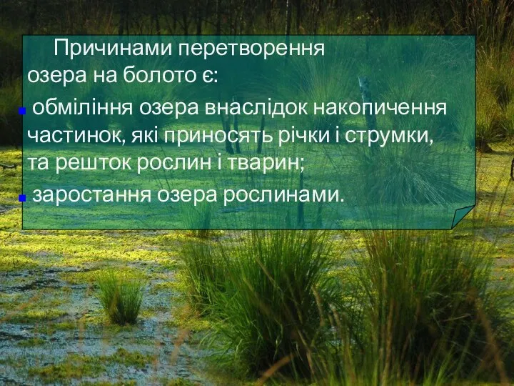 Причинами перетворення озера на болото є: обміління озера внаслідок накопичення частинок, які