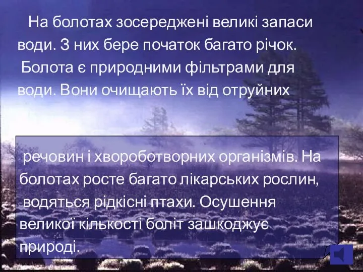 На болотах зосереджені великі запаси води. З них бере початок багато річок.