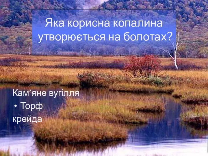 Кам’яне вугілля Торф крейда Яка корисна копалина утворюється на болотах?