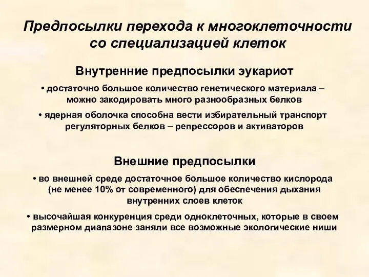 Предпосылки перехода к многоклеточности со специализацией клеток Внутренние предпосылки эукариот достаточно большое