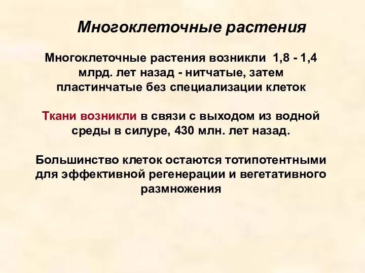 Многоклеточные растения Многоклеточные растения возникли 1,8 - 1,4 млрд. лет назад -