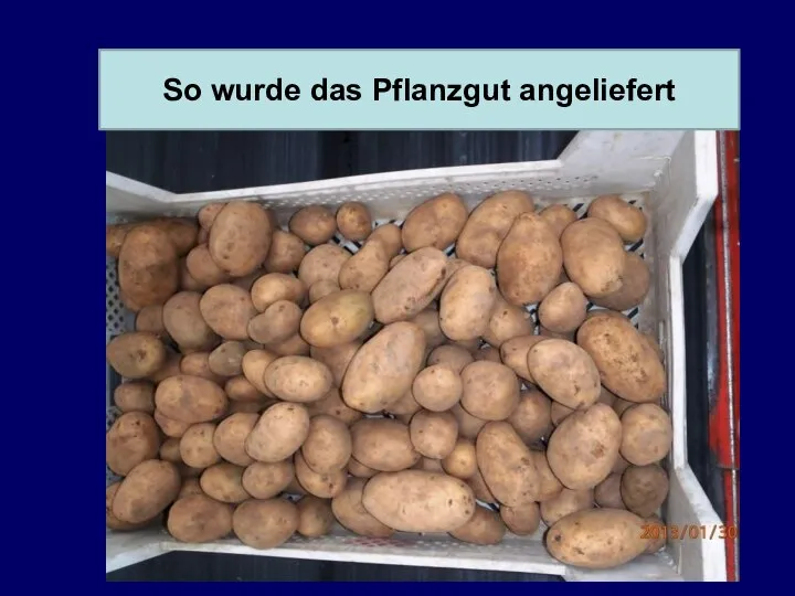 So wurde das Pflanzgut angeliefert