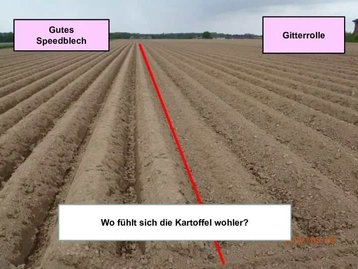 Gutes Speedblech Gitterrolle Wo fühlt sich die Kartoffel wohler?