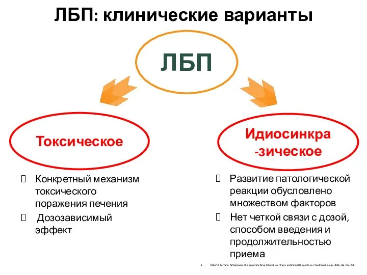 ЛБП: клинические варианты Robert J. Fontana. Pathogenesis of Idiosyncratic Drug-Induced Liver Injury