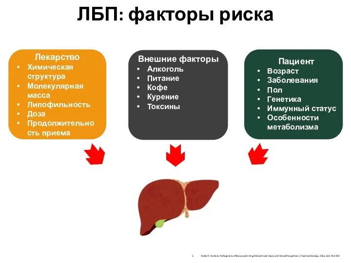 ЛБП: факторы риска Robert J. Fontana. Pathogenesis of Idiosyncratic Drug-Induced Liver Injury