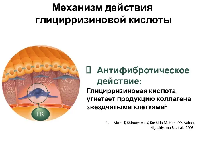 Механизм действия глицирризиновой кислоты Moro T, Shimoyama Y, Kushida M, Hong YY,