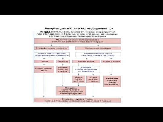 Алгоритм диагностических мероприятий при ССГ