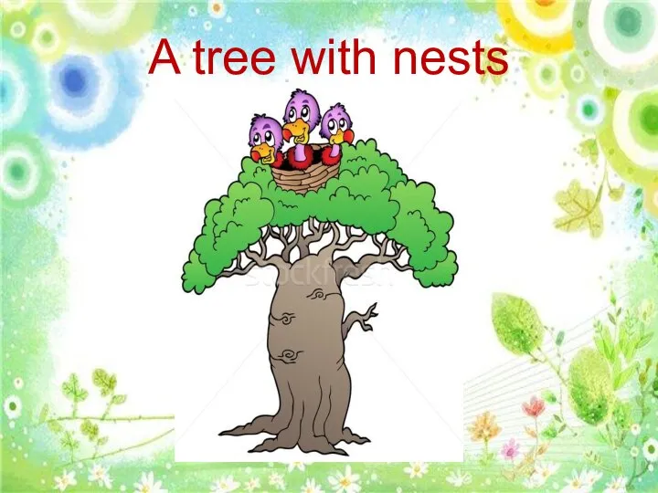 A tree with nests