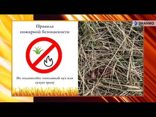 Не поджигайте тополиный пух или сухую траву Правила пожарной безопасности