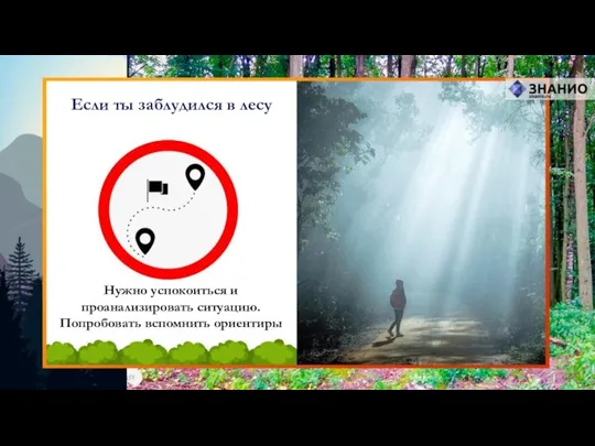 Нужно успокоиться и проанализировать ситуацию. Попробовать вспомнить ориентиры Если ты заблудился в лесу