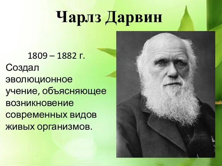 Чарлз Дарвин 1809 – 1882 г. Создал эволюционное учение, объясняющее возникновение современных видов живых организмов.