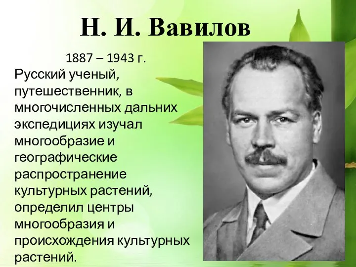 Н. И. Вавилов 1887 – 1943 г. Русский ученый, путешественник, в многочисленных