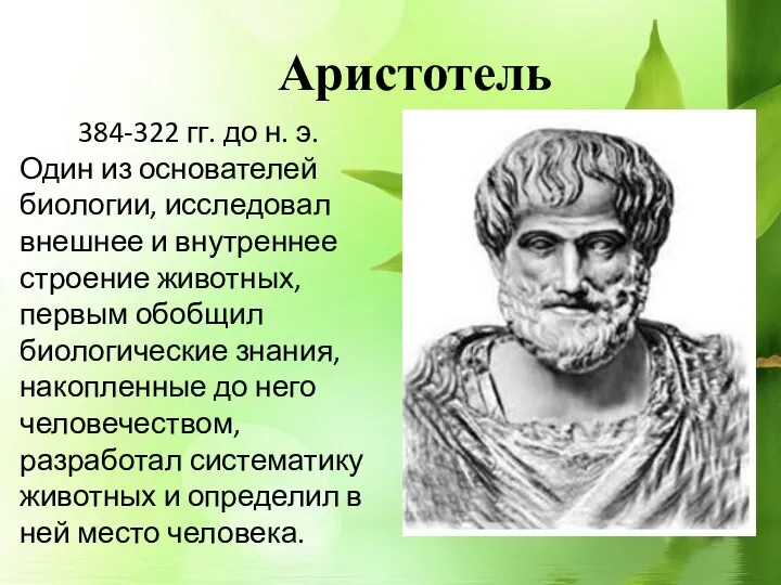 Аристотель 384-322 гг. до н. э. Один из основателей биологии, исследовал внешнее