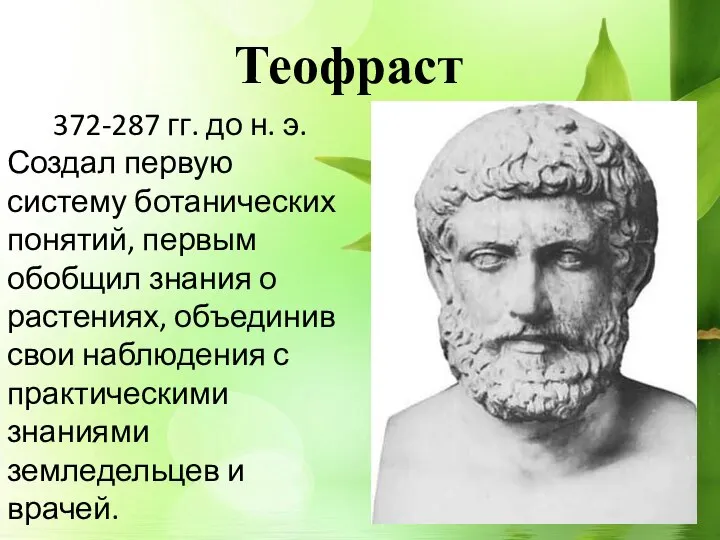 Теофраст 372-287 гг. до н. э. Создал первую систему ботанических понятий, первым