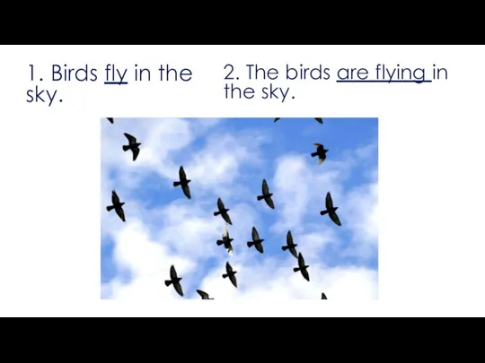 1. Birds fly in the sky. 2. The birds are flying in the sky.