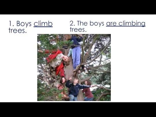 1. Boys climb trees. 2. The boys are climbing trees.