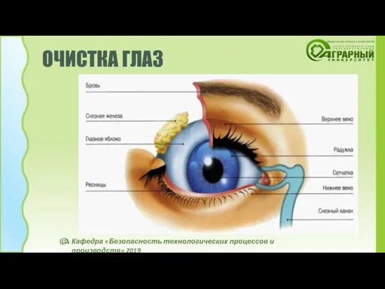 ОЧИСТКА ГЛАЗ