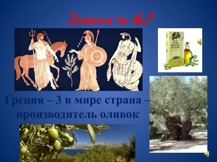 Знаете ли вы? Греция – 3 в мире страна – производитель оливок