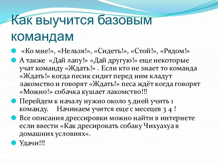 Как выучится базовым командам «Ко мне!», «Нельзя!», «Сидеть!», «Стой!», «Рядом!» А также