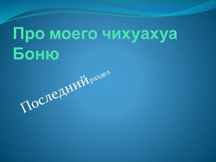 Про моего чихуахуа Боню Последний раздел