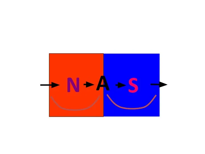 N A S