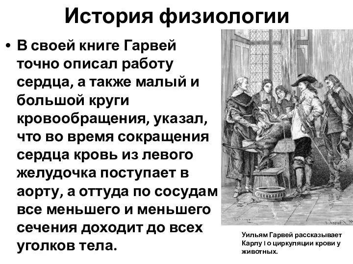 История физиологии В своей книге Гарвей точно описал работу сердца, а также