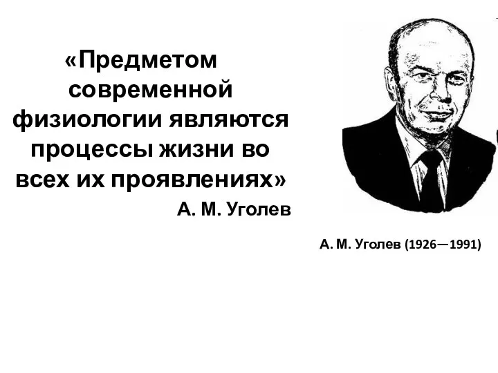 «Предметом современной физиологии являются процессы жизни во всех их проявлениях» А. М.