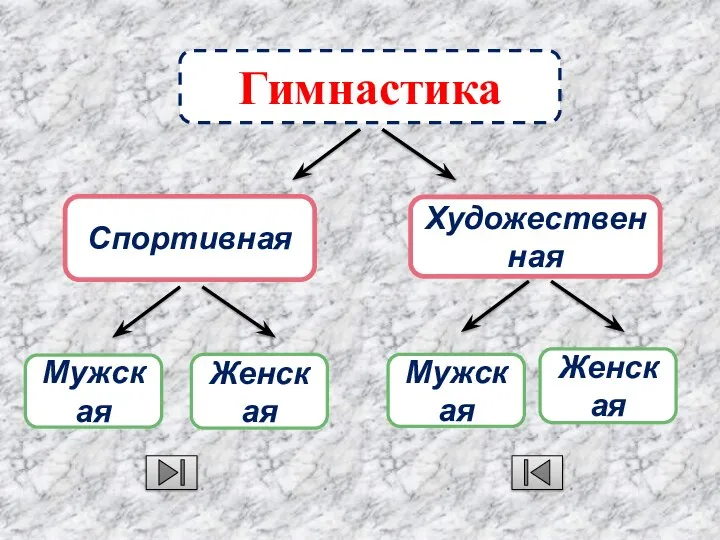 Гимнастика Художественная Спортивная Мужская Мужская Женская Женская