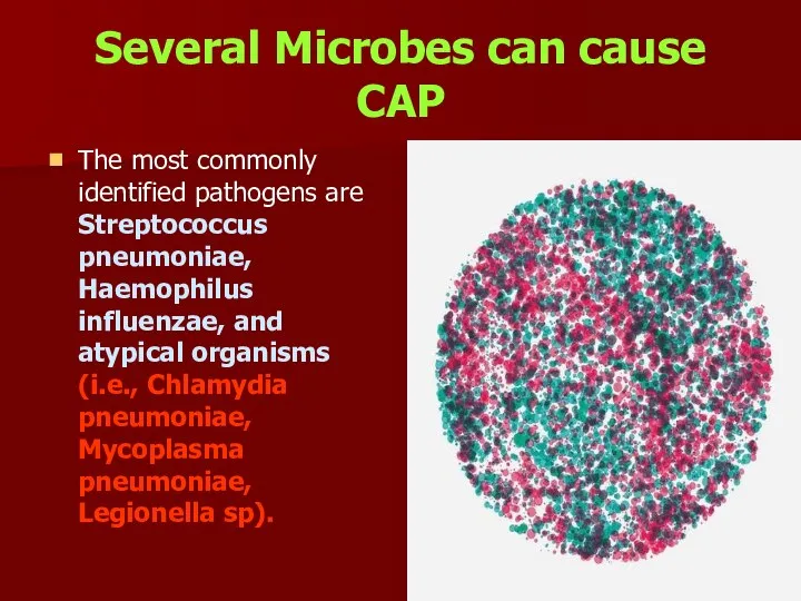 Several Microbes can cause CAP ■ The most commonly identified pathogens are
