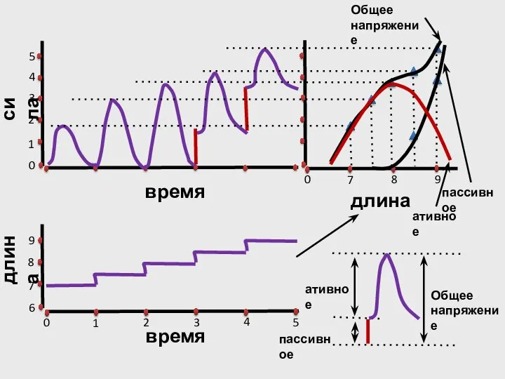 ативное пассивное Общее напряжение Общее напряжение пассивное ативное