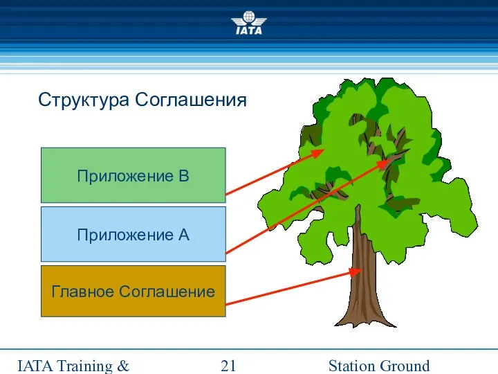 Station Ground Handling Management IATA Training & Development Institute Структура Соглашения Главное