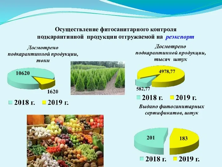 Осуществление фитосанитарного контроля подкарантинной продукции отгружаемой на реэкспорт