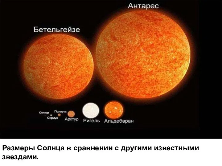 аааааааааааааааааааааааааааааааааааааааааааааа Размеры Солнца в сравнении с другими известными звездами.