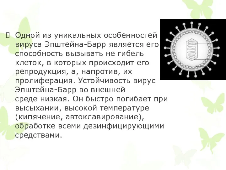 Одной из уникальных особенностей вируса Эпштейна-Барр является его способность вызывать не гибель