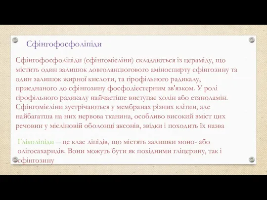 Сфінгофосфоліпіди Сфінгофосфоліпіди (сфінгомієліни) складаються із цераміду, що містить один залишок довголанцюгового аміноспирту