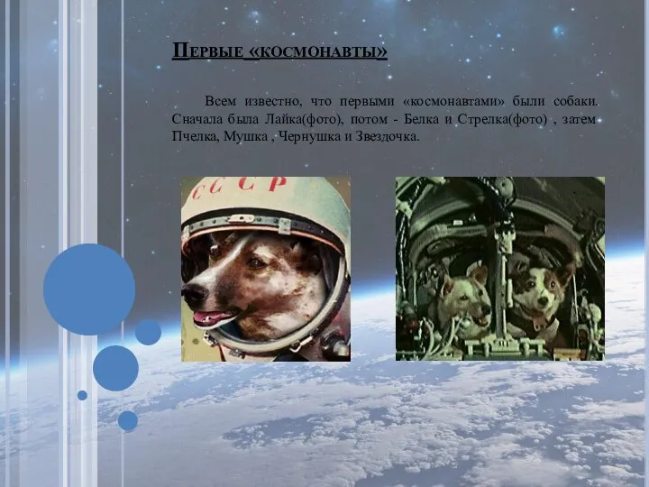 Первые «космонавты» Всем известно, что первыми «космонавтами» были собаки. Сначала была Лайка(фото),