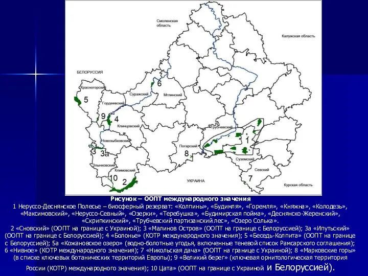 Рисунок – ООПТ международного значения 1 Неруссо-Деснянское Полесье – биосферный резерват: «Колпины»,