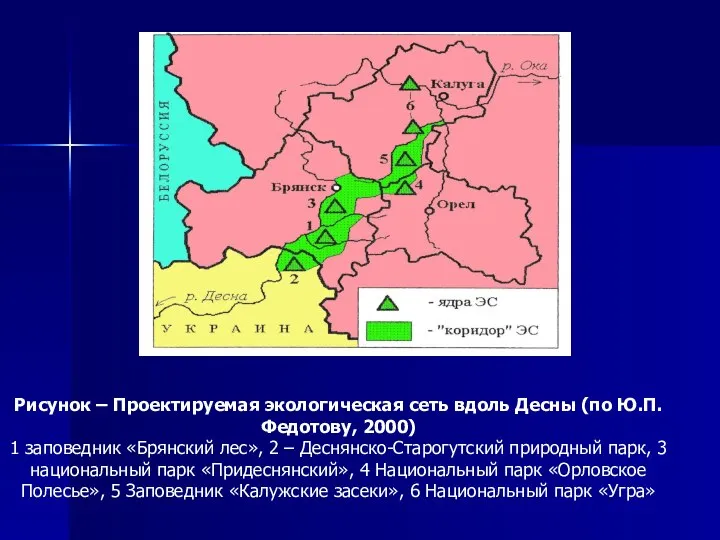 Рисунок – Проектируемая экологическая сеть вдоль Десны (по Ю.П. Федотову, 2000) 1