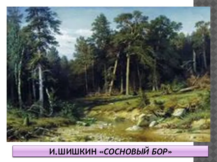 И.ШИШКИН «СОСНОВЫЙ БОР»